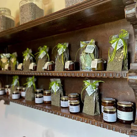 La Fontina Farm stay Castiglion Fiorentino